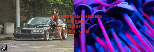 не бодяженный Арсеньев
